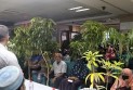 জুলাই পুনর্জাগরণ ও তারুণ্যের উৎসব উপলক্ষে কলাপাড়ায় চারা বিতরণ