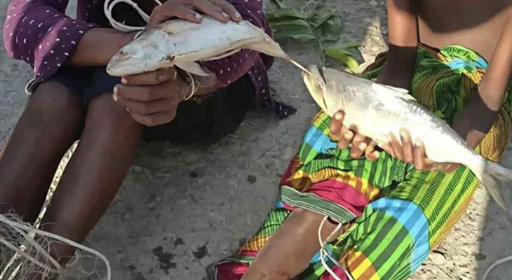 ইলিশ চুরির অভিযোগে দুই শিশুকে হাত-পা বেঁধে নির্যাতন