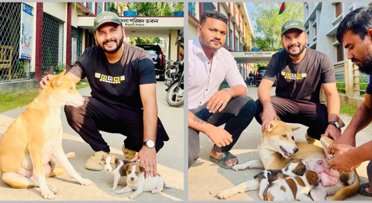 ঈশ্বরদীর সন্তানহারা কুকুরটিকে দেওয়া হয়েছে নতুন দুটি ছানা