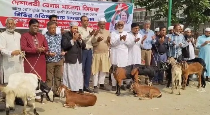 কুমিল্লায় খালেদা জিয়ার 'জানের সদকা' হিসেবে এতিমখানায় ১১ ছাগল বিতরণ