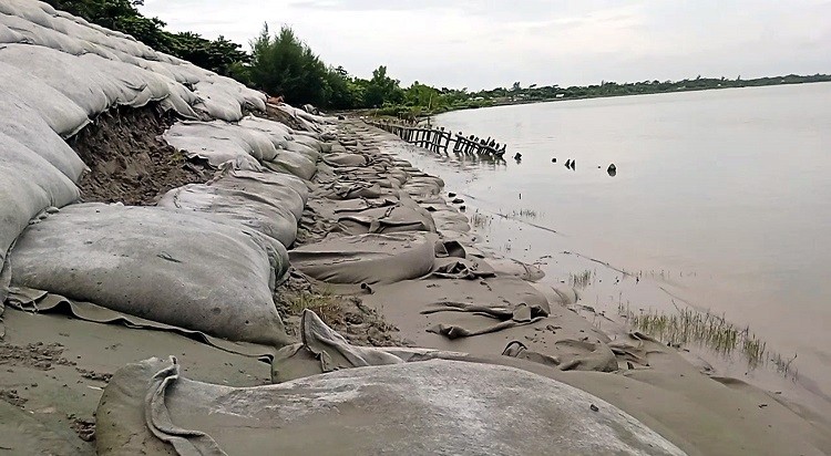কলাপাড়ার মিঠাগঞ্জ বেরিবাঁধে ভাঙ্গন