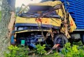 শার্শায় নিয়ন্ত্রণ হারিয়ে গাছে কভার্ড ভ্যানের ধাক্কা, চালকের সহকারী নিহত