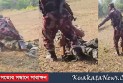 বাংলাদেশিকে ধরতে এসে পা ধরে মাফ চাইল বিএসএফ
