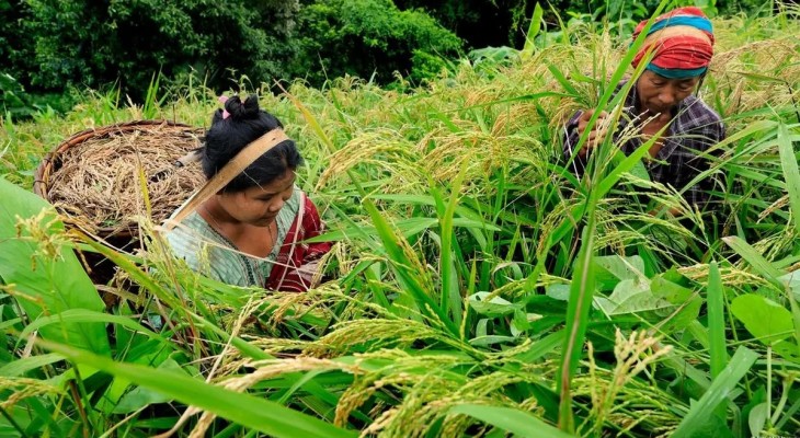 সমান সুযোগে পিছিয়ে থাকবে না পার্বত্যাঞ্চলের নারীরাও