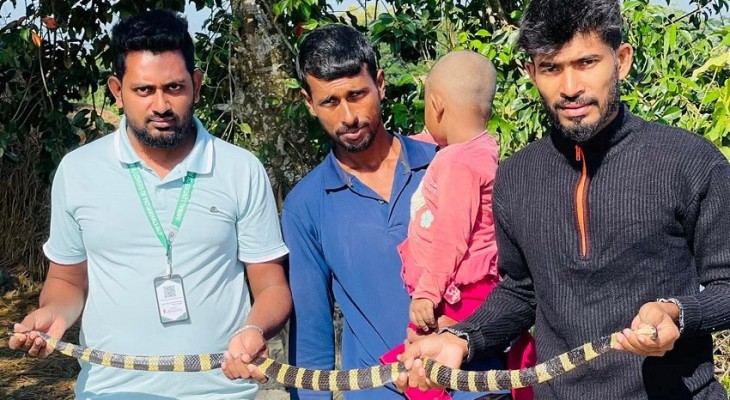 কলাপাড়ায় কৃষকের বাড়ি থেকে শঙ্খিনী সাপ উদ্ধার
