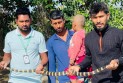 কলাপাড়ায় কৃষকের বাড়ি থেকে শঙ্খিনী সাপ উদ্ধার