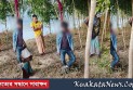 কমলগঞ্জে গাছ থেকে যুবকের ঝুলন্ত মরদেহ উদ্ধার