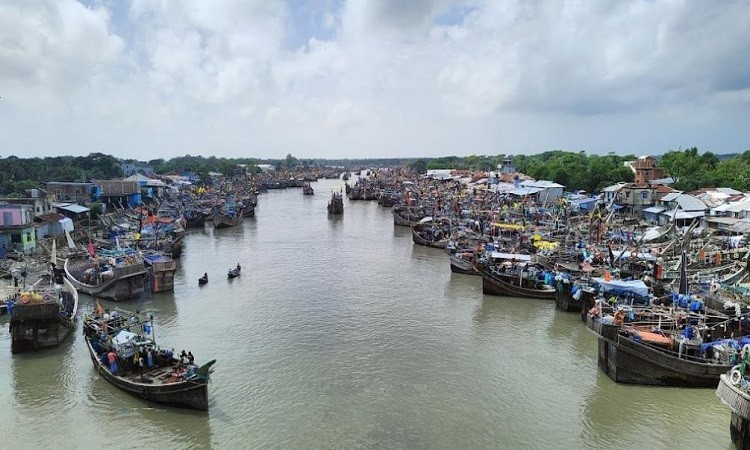 আলিপুর ও মহিপুর মৎস্য বন্দর