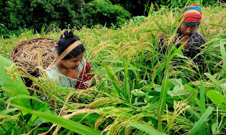 সমান সুযোগে পিছিয়ে থাকবে না পার্বত্যাঞ্চলের নারীরাও