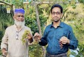 দশমিনায় ইউটিউব দেখে আঙ্গুর চাষে সফলতা দেখছেন কাওসার