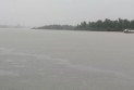 কলাপাড়ায় শহর থেকে গ্রামাঞ্চলের পানি জমে সৃষ্টি হয়েছে জলাবদ্ধতা