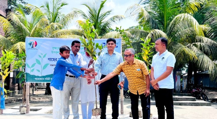 কলাপাড়ায় শিক্ষার্থীদের মাঝে ফলদ গাছের চারা বিতরণ