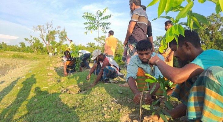 সাগর পাড়ের গঙ্গামতি দুই শতাধিক গাছের চারা রোপণ
